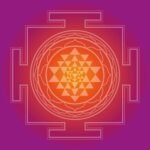 solo logo (3)